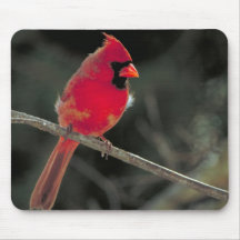 Red Cardinal Mousepad
