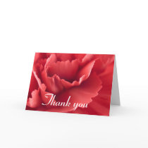 Red carnation flower ... Thank you card