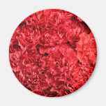 Red Carnations Background Refrigerator Magnet