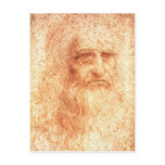 Red Chalk Leonardo da Vinci self-portrait postcard