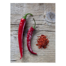 Red Chilli Pepper Postcard