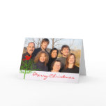 Red Christmas Bird Green Tree Your Photo cards