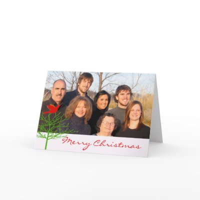 Red Christmas Bird Green Tree Your Photo Cards by samack