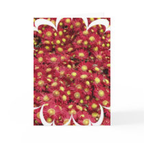 Red Chrysanthemums Greeting Card