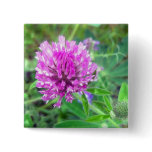 Red Clover Blossom 2 Button