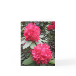 Red Couple Small Note Card