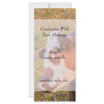 Red Cow in the Autumn Sunlight Full Color Rack Card