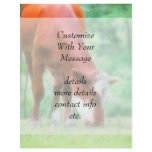 Red Cow in the Green Meadow flyers