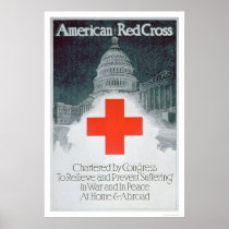 Red Cross Chartered by Congress (US00297) Posters