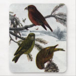 Red Crossbills and Pinecone Mouse Pads