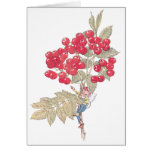 Red Currant Berries and Fairy Greeting Cards