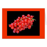 Red Currant Berry cards