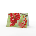 Red Currant Blank Note Card
