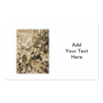 Red Currant Plants. Sepia Brown Colour. Rectangle Sticker
