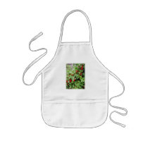 Red Currants on the Plant. Green Leaves. Apron