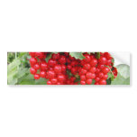 Red Currants on the Plant. Green Leaves. Custom bumper stickers