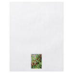 Red Currants on the Plant. Green Leaves. Custom flyers
