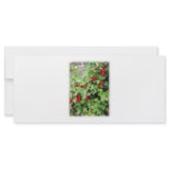 Red Currants on the Plant. Green Leaves. Custom rack cards