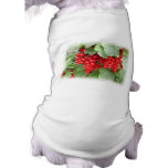 Red Currants on the Plant. Green Leaves. Pet Clothes