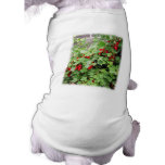 Red Currants on the Plant. Green Leaves. Doggie Tshirt