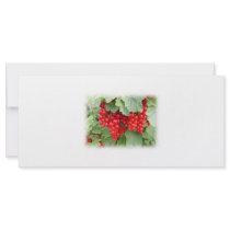 Red Currants on the Plant. Green Leaves. Rack Card