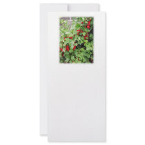 Red Currants on the Plant. Green Leaves. Custom Rack Card