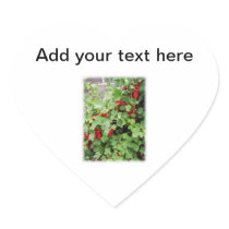 Red Currants on the Plant. Green Leaves. Heart Stickers
