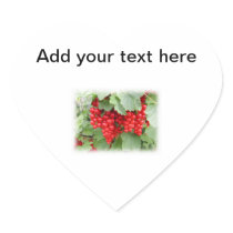 Red Currants on the Plant. Green Leaves. Sticker