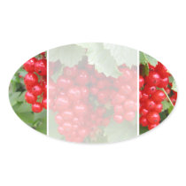 Red Currants on the Plant. Green Leaves. Sticker