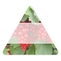 Red Currants on the Plant. Green Leaves. Triangle Sticker