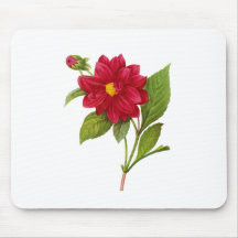 Red Dahlia by Pierre Joseph Redoute Mousepads
