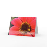 Red Dahlia cards