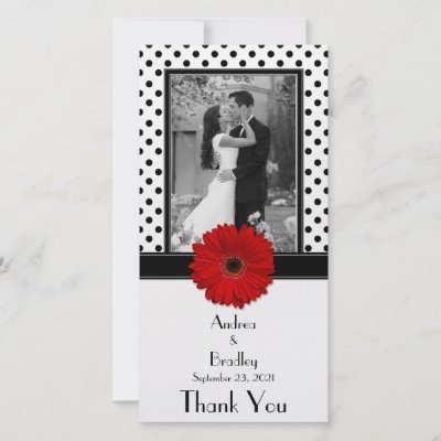 Red Daisy Black White Polka Dot Wedding Photocard Picture Card by wasootch
