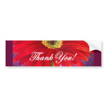Red Daisy Flower Painting - Multi