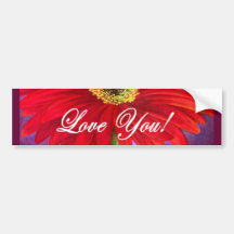Red Daisy Flower Painting - Multi Bumper Stickers