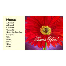 Red Daisy Flower Painting - Multi Business Card Templates
