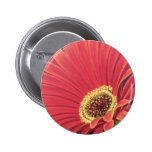 Red Daisy Flower Painting - Multi Buttons