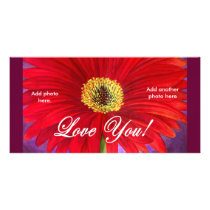 Red Daisy Flower Painting - Multi