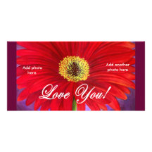 Red Daisy Flower Painting - Multi Photo Card Template