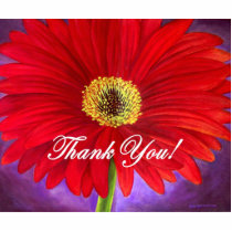 Red Daisy Flower Painting - Multi