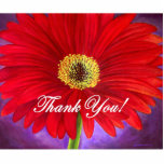 Red Daisy Flower Painting - Multi photo sculptures