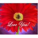 Red Daisy Flower Painting - Multi photo sculptures