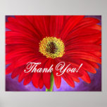 Red Daisy Flower Painting - Multi posters