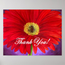 Red Daisy Flower Painting - Multi
