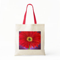 Red Daisy Gerber Flower Painting Art - Multi Bags