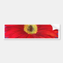 Red Daisy Gerber Flower Painting Art - Multi Bumper Sticker