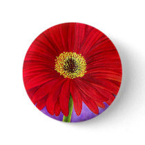 Red Daisy Gerber Flower Painting Art - Multi