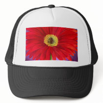 Red Daisy Gerber Flower Painting Art - Multi