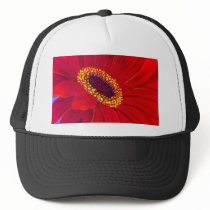 Red Daisy Gerber Flower Painting Art - Multi