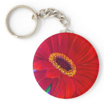 Red Daisy Gerber Flower Painting Art - Multi